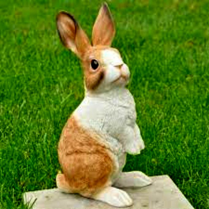 Die 13 Besten Kaninchenabwehrmittel Für Rasen Und Gärten